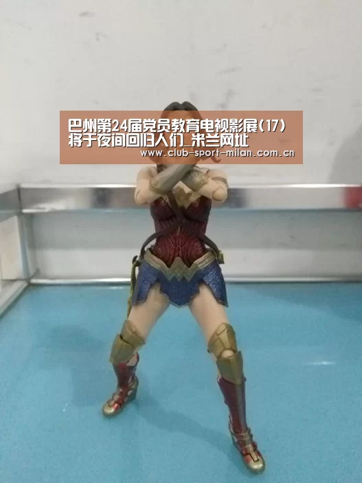 巴州第24届党员教育电视影展(17)将于夜间回归人们_米兰网址
